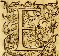 An illustration from Gvlielmi Rondeletii ... Libri de piscibus marinis, in quibus veræ piscium effigies expressæ sunt .. (1554)