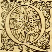 An illustration from Gvlielmi Rondeletii ... Libri de piscibus marinis, in quibus veræ piscium effigies expressæ sunt .. (1554)