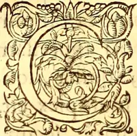 An illustration from Gvlielmi Rondeletii ... Libri de piscibus marinis, in quibus veræ piscium effigies expressæ sunt .. (1554)