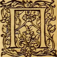 Picture 482 of 837 from Gvlielmi Rondeletii ... Libri de piscibus marinis, in quibus veræ piscium effigies expressæ sunt .. (1554), leaf 580