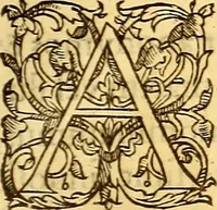 An illustration from Gvlielmi Rondeletii ... Libri de piscibus marinis, in quibus veræ piscium effigies expressæ sunt .. (1554)