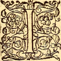 An illustration from Gvlielmi Rondeletii ... Libri de piscibus marinis, in quibus veræ piscium effigies expressæ sunt .. (1554)