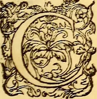 Picture 492 of 837 from Gvlielmi Rondeletii ... Libri de piscibus marinis, in quibus veræ piscium effigies expressæ sunt .. (1554), leaf 586
