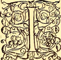 Picture 494 of 837 from Gvlielmi Rondeletii ... Libri de piscibus marinis, in quibus veræ piscium effigies expressæ sunt .. (1554), leaf 587