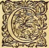 An illustration from Gvlielmi Rondeletii ... Libri de piscibus marinis, in quibus veræ piscium effigies expressæ sunt .. (1554)
