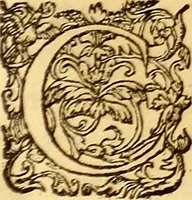 Picture 500 of 837 from Gvlielmi Rondeletii ... Libri de piscibus marinis, in quibus veræ piscium effigies expressæ sunt .. (1554), leaf 588