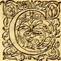 Picture 501 of 837 from Gvlielmi Rondeletii ... Libri de piscibus marinis, in quibus veræ piscium effigies expressæ sunt .. (1554), leaf 594