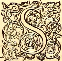 An illustration from Gvlielmi Rondeletii ... Libri de piscibus marinis, in quibus veræ piscium effigies expressæ sunt .. (1554)