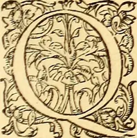 Picture 509 of 837 from Gvlielmi Rondeletii ... Libri de piscibus marinis, in quibus veræ piscium effigies expressæ sunt .. (1554), leaf 600