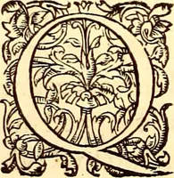 An illustration from Gvlielmi Rondeletii ... Libri de piscibus marinis, in quibus veræ piscium effigies expressæ sunt .. (1554)