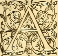 An illustration from Gvlielmi Rondeletii ... Libri de piscibus marinis, in quibus veræ piscium effigies expressæ sunt .. (1554)