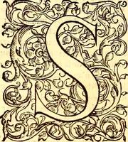Picture 515 of 837 from Gvlielmi Rondeletii ... Libri de piscibus marinis, in quibus veræ piscium effigies expressæ sunt .. (1554), leaf 631