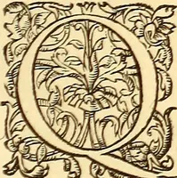 An illustration from Gvlielmi Rondeletii ... Libri de piscibus marinis, in quibus veræ piscium effigies expressæ sunt .. (1554)