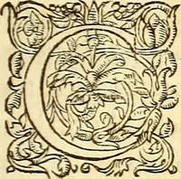 Picture 524 of 837 from Gvlielmi Rondeletii ... Libri de piscibus marinis, in quibus veræ piscium effigies expressæ sunt .. (1554), leaf 644
