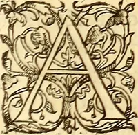 Picture 526 of 837 from Gvlielmi Rondeletii ... Libri de piscibus marinis, in quibus veræ piscium effigies expressæ sunt .. (1554), leaf 644