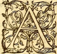 An illustration from Gvlielmi Rondeletii ... Libri de piscibus marinis, in quibus veræ piscium effigies expressæ sunt .. (1554)