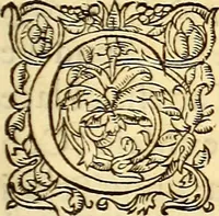 An illustration from Gvlielmi Rondeletii ... Libri de piscibus marinis, in quibus veræ piscium effigies expressæ sunt .. (1554)