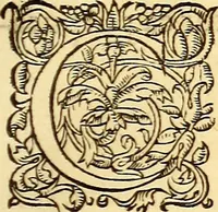 Picture 536 of 837 from Gvlielmi Rondeletii ... Libri de piscibus marinis, in quibus veræ piscium effigies expressæ sunt .. (1554), leaf 652