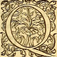An illustration from Gvlielmi Rondeletii ... Libri de piscibus marinis, in quibus veræ piscium effigies expressæ sunt .. (1554)