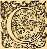 An illustration from Gvlielmi Rondeletii ... Libri de piscibus marinis, in quibus veræ piscium effigies expressæ sunt .. (1554)