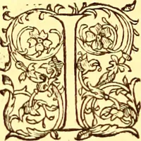 Picture 543 of 837 from Gvlielmi Rondeletii ... Libri de piscibus marinis, in quibus veræ piscium effigies expressæ sunt .. (1554), leaf 657