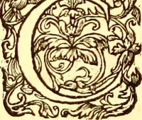 An illustration from Gvlielmi Rondeletii ... Libri de piscibus marinis, in quibus veræ piscium effigies expressæ sunt .. (1554)