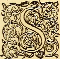 Picture 548 of 837 from Gvlielmi Rondeletii ... Libri de piscibus marinis, in quibus veræ piscium effigies expressæ sunt .. (1554), leaf 660