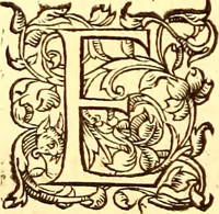 Picture 552 of 837 from Gvlielmi Rondeletii ... Libri de piscibus marinis, in quibus veræ piscium effigies expressæ sunt .. (1554), leaf 661