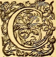 An illustration from Gvlielmi Rondeletii ... Libri de piscibus marinis, in quibus veræ piscium effigies expressæ sunt .. (1554)
