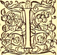 Picture 558 of 837 from Gvlielmi Rondeletii ... Libri de piscibus marinis, in quibus veræ piscium effigies expressæ sunt .. (1554), leaf 663