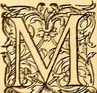 Picture 562 of 837 from Gvlielmi Rondeletii ... Libri de piscibus marinis, in quibus veræ piscium effigies expressæ sunt .. (1554), leaf 664