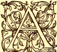 An illustration from Gvlielmi Rondeletii ... Libri de piscibus marinis, in quibus veræ piscium effigies expressæ sunt .. (1554)