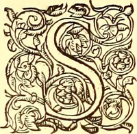 An illustration from Gvlielmi Rondeletii ... Libri de piscibus marinis, in quibus veræ piscium effigies expressæ sunt .. (1554)
