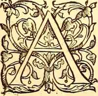 An illustration from Gvlielmi Rondeletii ... Libri de piscibus marinis, in quibus veræ piscium effigies expressæ sunt .. (1554)