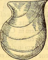 An illustration from Gvlielmi Rondeletii ... Libri de piscibus marinis, in quibus veræ piscium effigies expressæ sunt .. (1554)