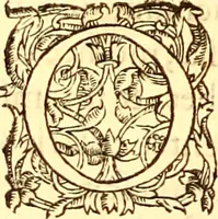 An illustration from Gvlielmi Rondeletii ... Libri de piscibus marinis, in quibus veræ piscium effigies expressæ sunt .. (1554)
