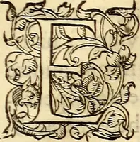 Picture 34 of 837 from Gvlielmi Rondeletii ... Libri de piscibus marinis, in quibus veræ piscium effigies expressæ sunt .. (1554), leaf 68