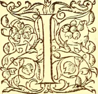 An illustration from Gvlielmi Rondeletii ... Libri de piscibus marinis, in quibus veræ piscium effigies expressæ sunt .. (1554)