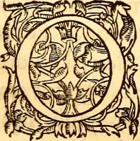 An illustration from Gvlielmi Rondeletii ... Libri de piscibus marinis, in quibus veræ piscium effigies expressæ sunt .. (1554)