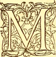 An illustration from Gvlielmi Rondeletii ... Libri de piscibus marinis, in quibus veræ piscium effigies expressæ sunt .. (1554)