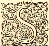 An illustration from Gvlielmi Rondeletii ... Libri de piscibus marinis, in quibus veræ piscium effigies expressæ sunt .. (1554)