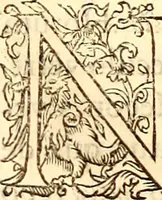 Picture 597 of 837 from Gvlielmi Rondeletii ... Libri de piscibus marinis, in quibus veræ piscium effigies expressæ sunt .. (1554), leaf 691