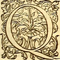 An illustration from Gvlielmi Rondeletii ... Libri de piscibus marinis, in quibus veræ piscium effigies expressæ sunt .. (1554)