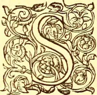 An illustration from Gvlielmi Rondeletii ... Libri de piscibus marinis, in quibus veræ piscium effigies expressæ sunt .. (1554)