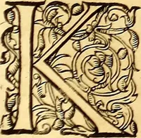 An illustration from Gvlielmi Rondeletii ... Libri de piscibus marinis, in quibus veræ piscium effigies expressæ sunt .. (1554)