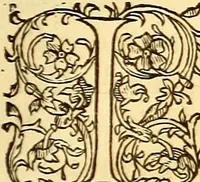 An illustration from Gvlielmi Rondeletii ... Libri de piscibus marinis, in quibus veræ piscium effigies expressæ sunt .. (1554)