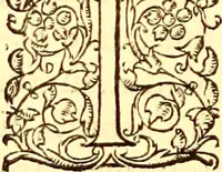 An illustration from Gvlielmi Rondeletii ... Libri de piscibus marinis, in quibus veræ piscium effigies expressæ sunt .. (1554)