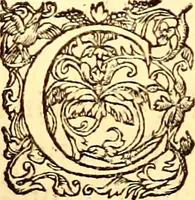 An illustration from Gvlielmi Rondeletii ... Libri de piscibus marinis, in quibus veræ piscium effigies expressæ sunt .. (1554)