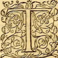 An illustration from Gvlielmi Rondeletii ... Libri de piscibus marinis, in quibus veræ piscium effigies expressæ sunt .. (1554)