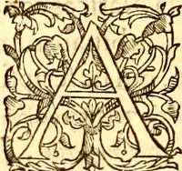 An illustration from Gvlielmi Rondeletii ... Libri de piscibus marinis, in quibus veræ piscium effigies expressæ sunt .. (1554)